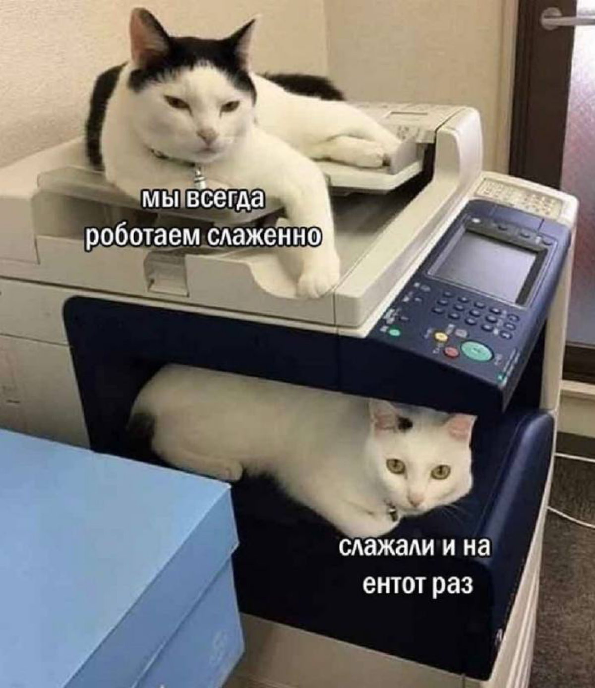 какое-то это место странное. ощущается как пластик (?) | Сетка — социальная сеть от hh.ru