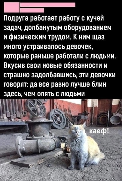 Это что, выходит снова на завод?)
Источник: https://t.me/hrmem | Сетка — социальная сеть от hh.ru