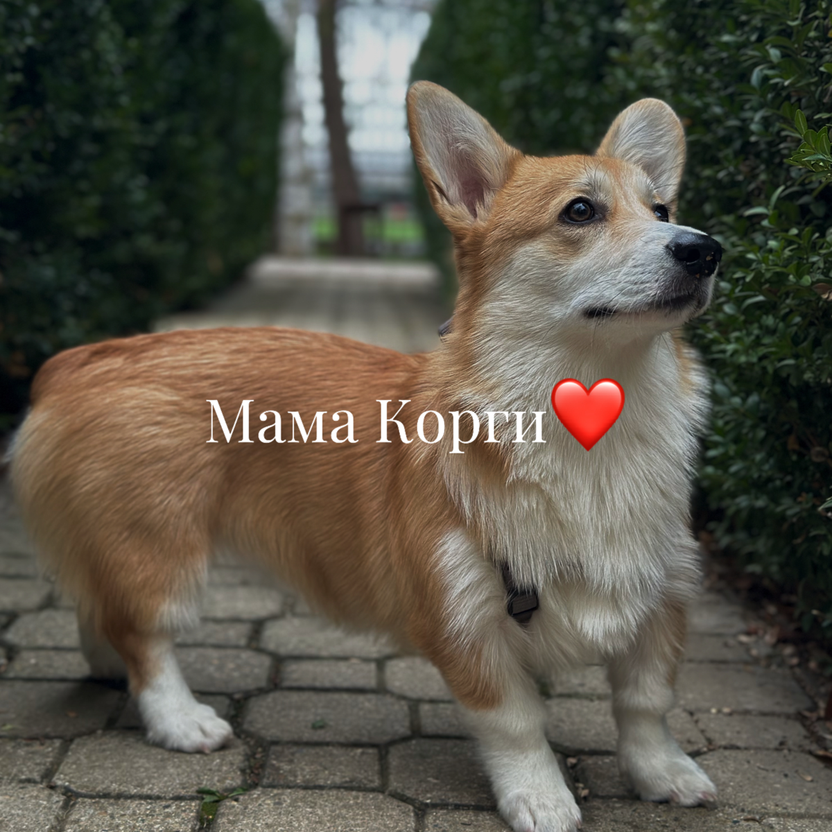 Я, мой опыт и факты обо мне🙋🏻‍♀️
Привет! Меня зовут Лера, мне 23 года, я живу в городе Новороссийске и безумно люблю этот город🌊
Таргетом я занимаю с 2020 года, но Вк стала покорять только в этом году... | Сетка — социальная сеть от hh.ru