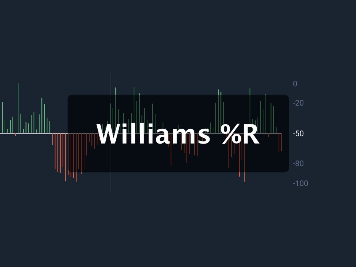 Индикатор Williams %R – это мощный инструмент для анализа перекупленности и перепроданности на рынке | Сетка — социальная сеть от hh.ru