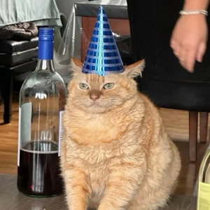 Екатерина Черепанова | Сетка — социальная сеть от hh.ru