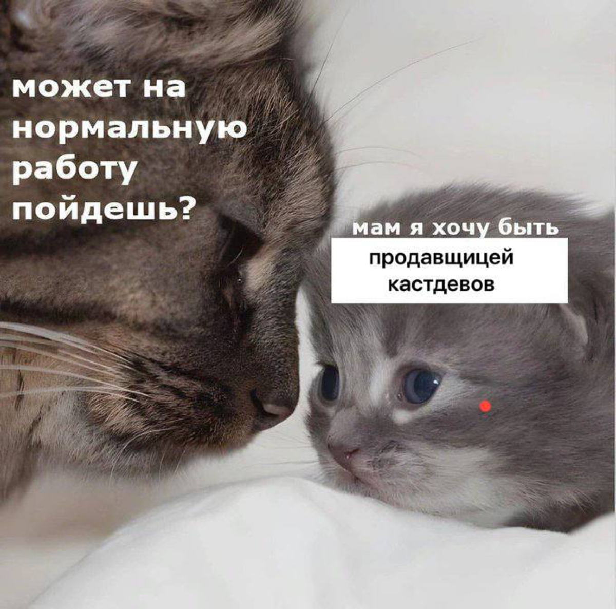 Но я, конечно же, считаю, что мое видение единственное верное…
Хотя не всем это объяснишь… | Сетка — социальная сеть от hh.ru