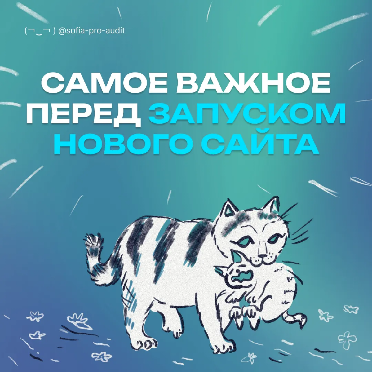 Чек-лист перед запуском нового сайта | Сетка — социальная сеть от hh.ru