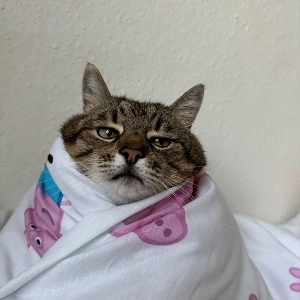 Юлия Аксенова