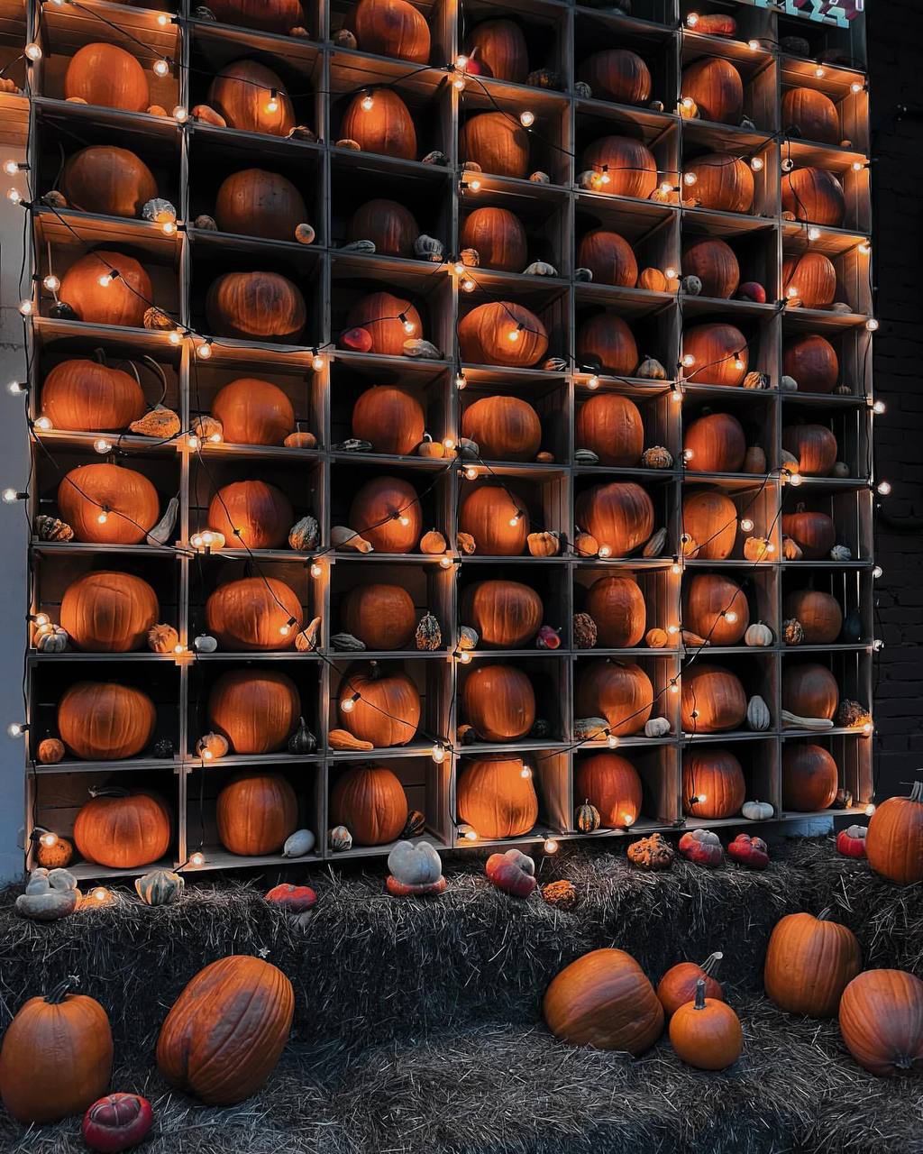 🎃 Фотолокация с множеством тыкв появилась в Москве🗺Арма, Нижний Сусальный переулок, 5 ст. 10, м. Курская
📲Подпишитесь на Вдвижении | Сетка — социальная сеть от hh.ru
