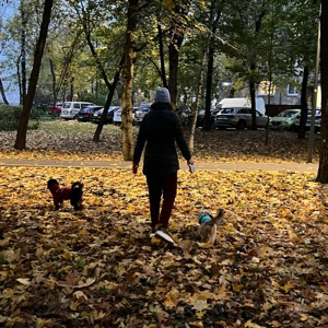 Ольга Жолудева | Сетка — социальная сеть от hh.ru