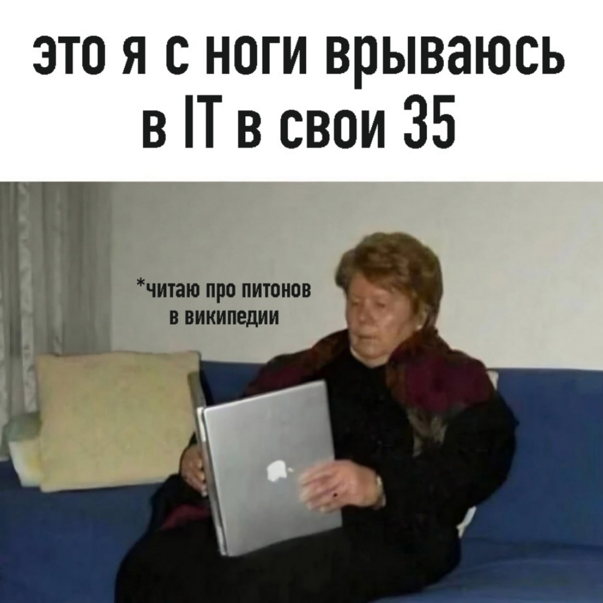 Кто недавно в IT? | Сетка — социальная сеть от hh.ru