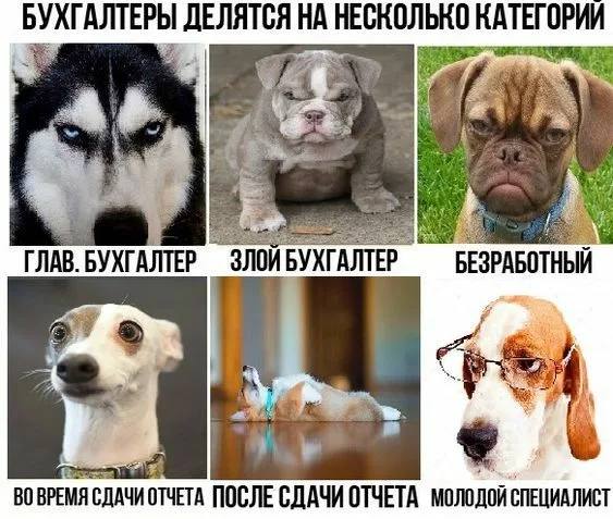 Дорогие друзья , добрый вечер.
Немного пропала, надеюсь вы меня поймете. Сейчас отчетный период для бухгалтеров и очень много работы. Работаю до глубокой ночи | Сетка — социальная сеть от hh.ru