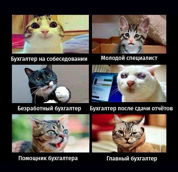 Дорогие друзья , добрый вечер.
Немного пропала, надеюсь вы меня поймете. Сейчас отчетный период для бухгалтеров и очень много работы. Работаю до глубокой ночи | Сетка — социальная сеть от hh.ru