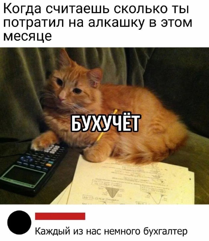Дорогие друзья , добрый вечер.
Немного пропала, надеюсь вы меня поймете. Сейчас отчетный период для бухгалтеров и очень много работы. Работаю до глубокой ночи | Сетка — социальная сеть от hh.ru