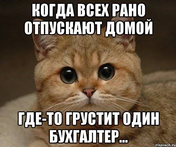 Дорогие друзья , добрый вечер.
Немного пропала, надеюсь вы меня поймете. Сейчас отчетный период для бухгалтеров и очень много работы. Работаю до глубокой ночи | Сетка — социальная сеть от hh.ru