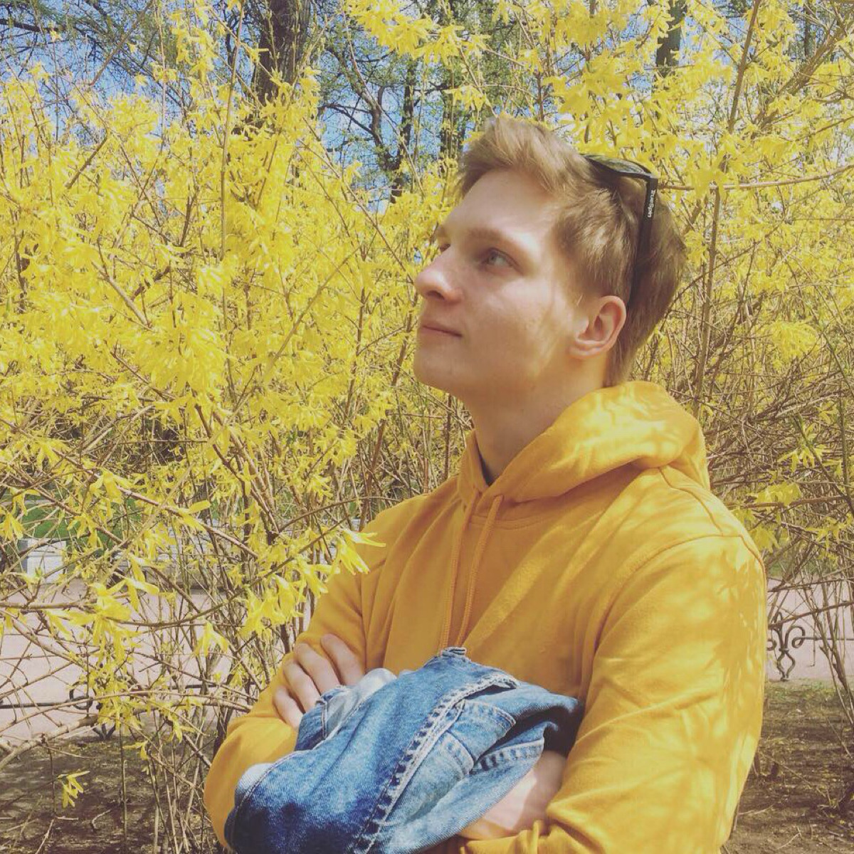 Александр Емельянцев | Сетка — социальная сеть от hh.ru