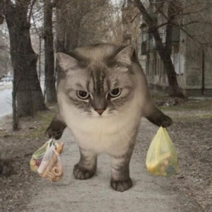Виктор Горшков