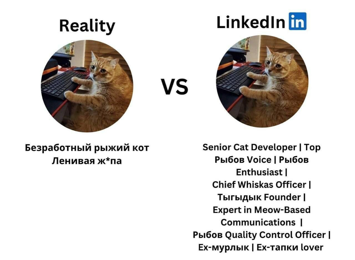 Сетка — социальная сеть от hh.ru