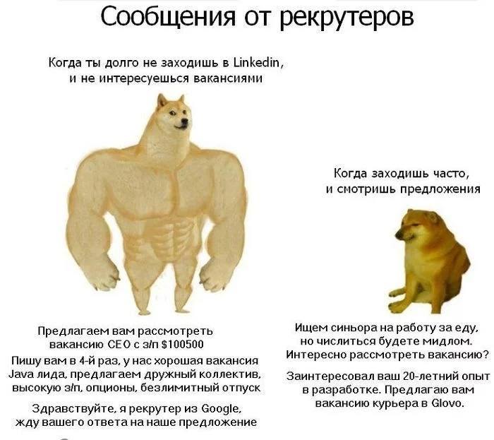 Поэтому заходите в Линкедин почаще ...
ну или в Сетку — социальная сеть для нетворкинга от hh.ru | Сетка — социальная сеть от hh.ru