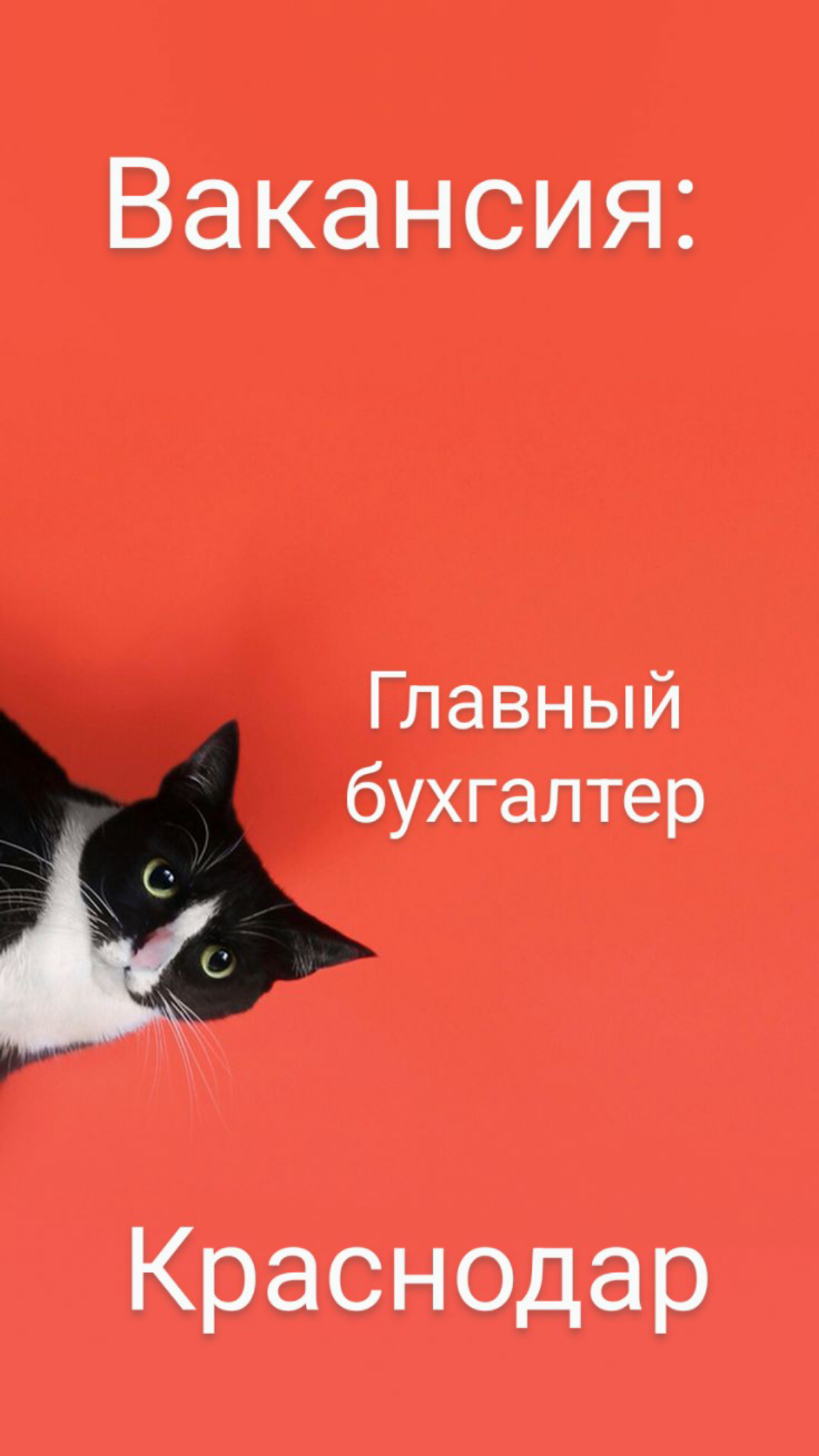 #ВАКАНСИЯ №1551  
Главный бухгалтер  
📍Краснодар  
Наш клиент - производственная компания - находится в поиске главного бухгалтера | Сетка — социальная сеть от hh.ru