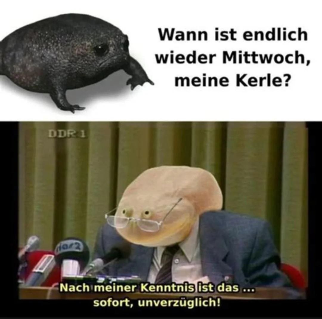 #мемы на иностранном
🇩🇪 — Когда наконец снова среда, чюваки мои?
— Насколько мне известно, это... Сейчас же, безотлагательно! | Сетка — социальная сеть от hh.ru