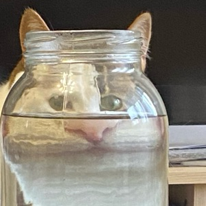 Поработать и посмеяться