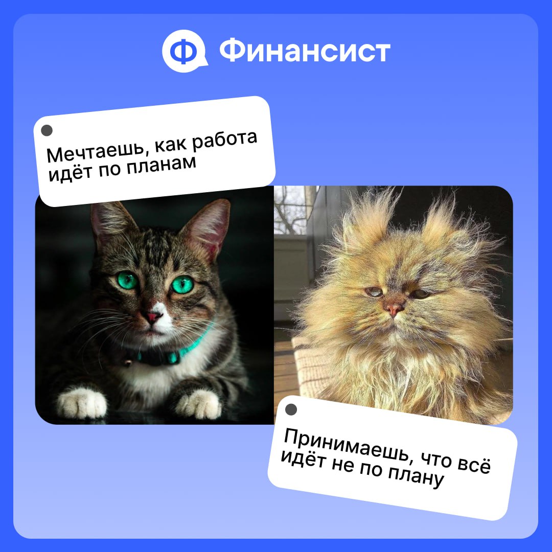 🏹5 шагов по созданию прогнозного баланса
В продолжение вчерашней темы рассказываем про прогнозный баланс. Этот инструмент позволяет управлять компанией и масштабировать её | Сетка — социальная сеть от hh.ru