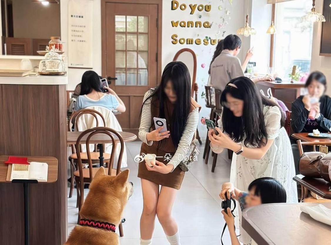 Легкие НовостиКитайцы стали отправлять на работу собак🐕‍🦺 и котов🐈
Кафе с домашними животными — крупный бизнес в Китае. В стране насчитывается более четырех тысяч подобных заведений | Сетка — социальная сеть от hh.ru