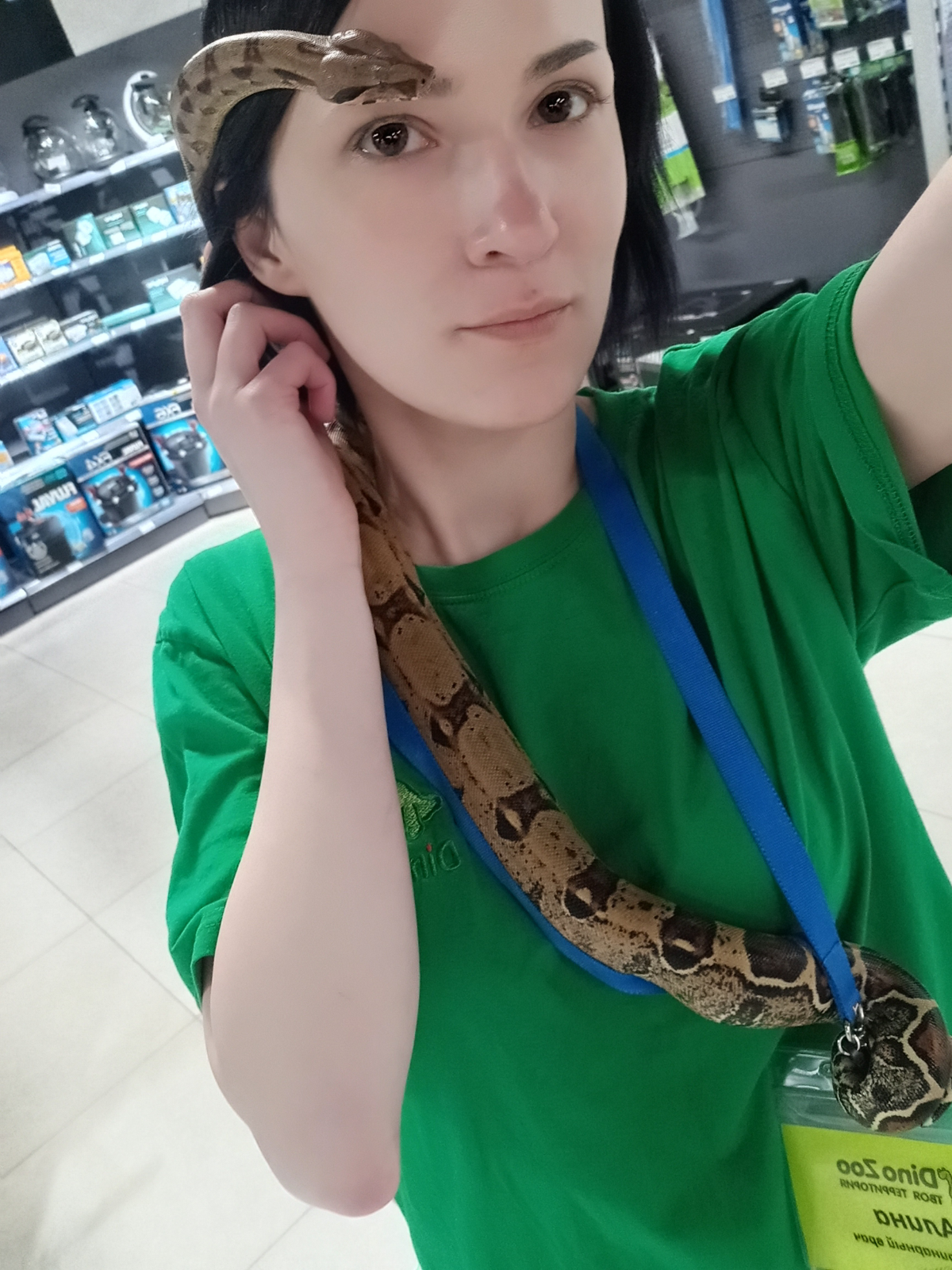 Network member avatar