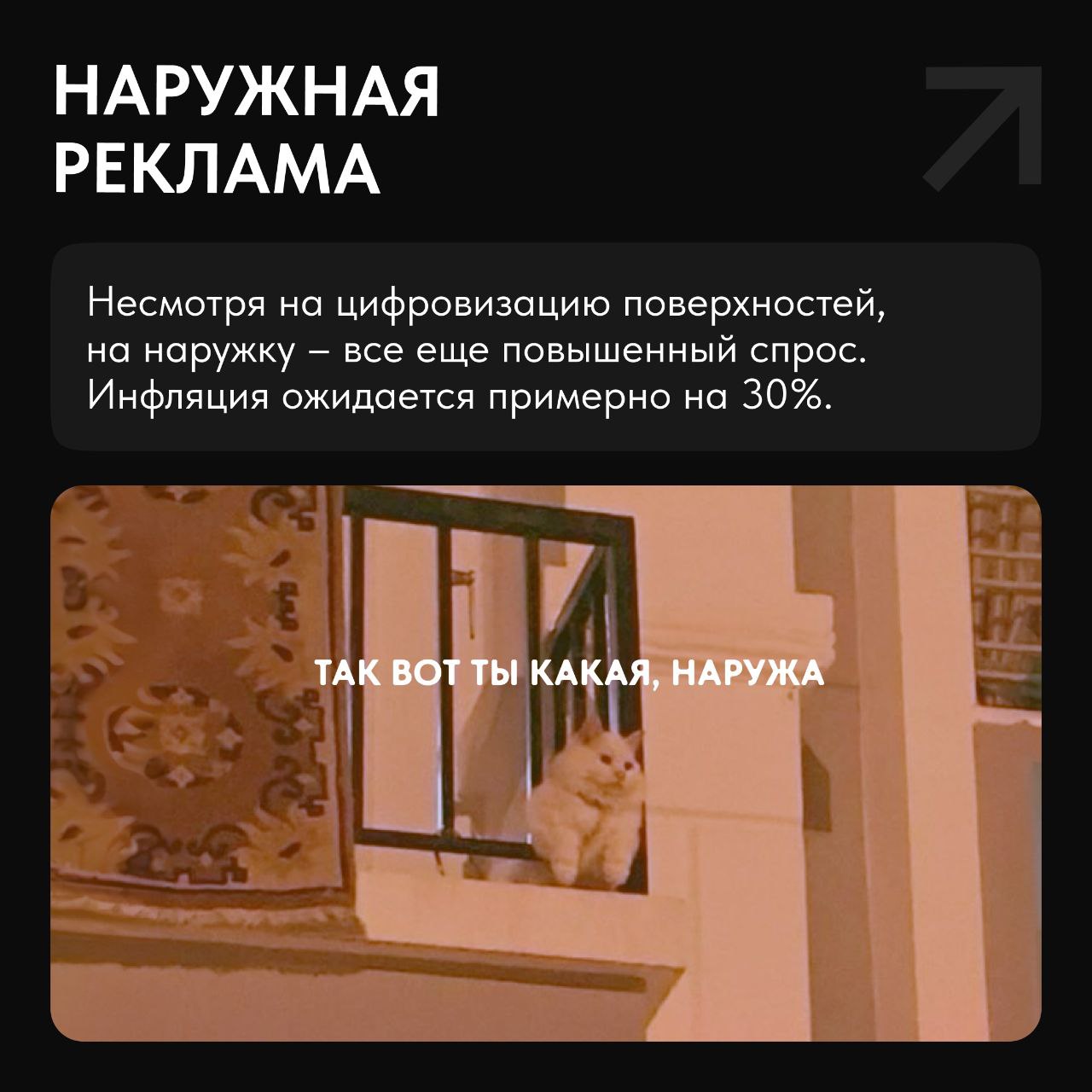 🔎Осенний деловой сезон в самом разгаре. На волне планирования бюджетов и согласований проектов AdIndex изучили, как изменятся цены на рекламу в 2025 году | Сетка — социальная сеть от hh.ru