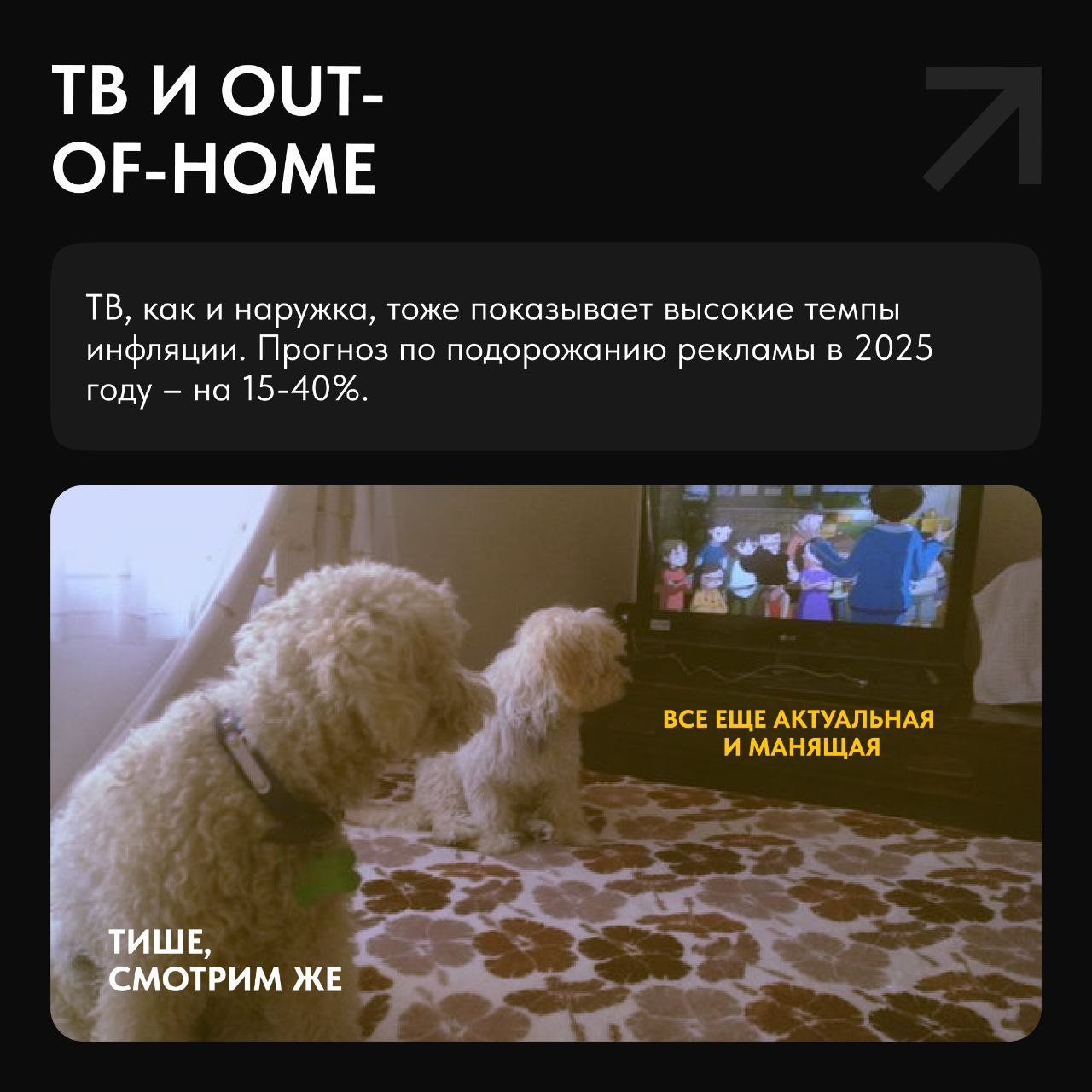🔎Осенний деловой сезон в самом разгаре. На волне планирования бюджетов и согласований проектов AdIndex изучили, как изменятся цены на рекламу в 2025 году | Сетка — социальная сеть от hh.ru
