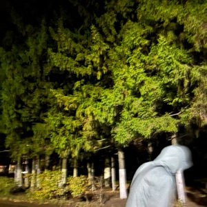 Илья Ехрюков | Сетка — социальная сеть от hh.ru