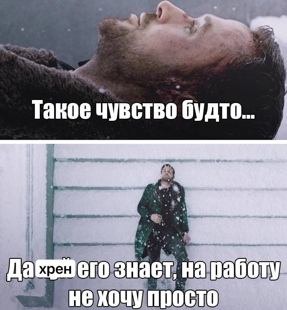 ➡️ отправь коллеге мем в телеге | Сетка — социальная сеть от hh.ru