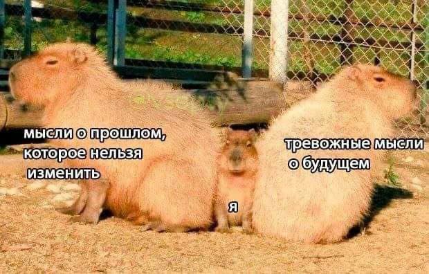 И не отрицай, что это не так. | Сетка — социальная сеть от hh.ru