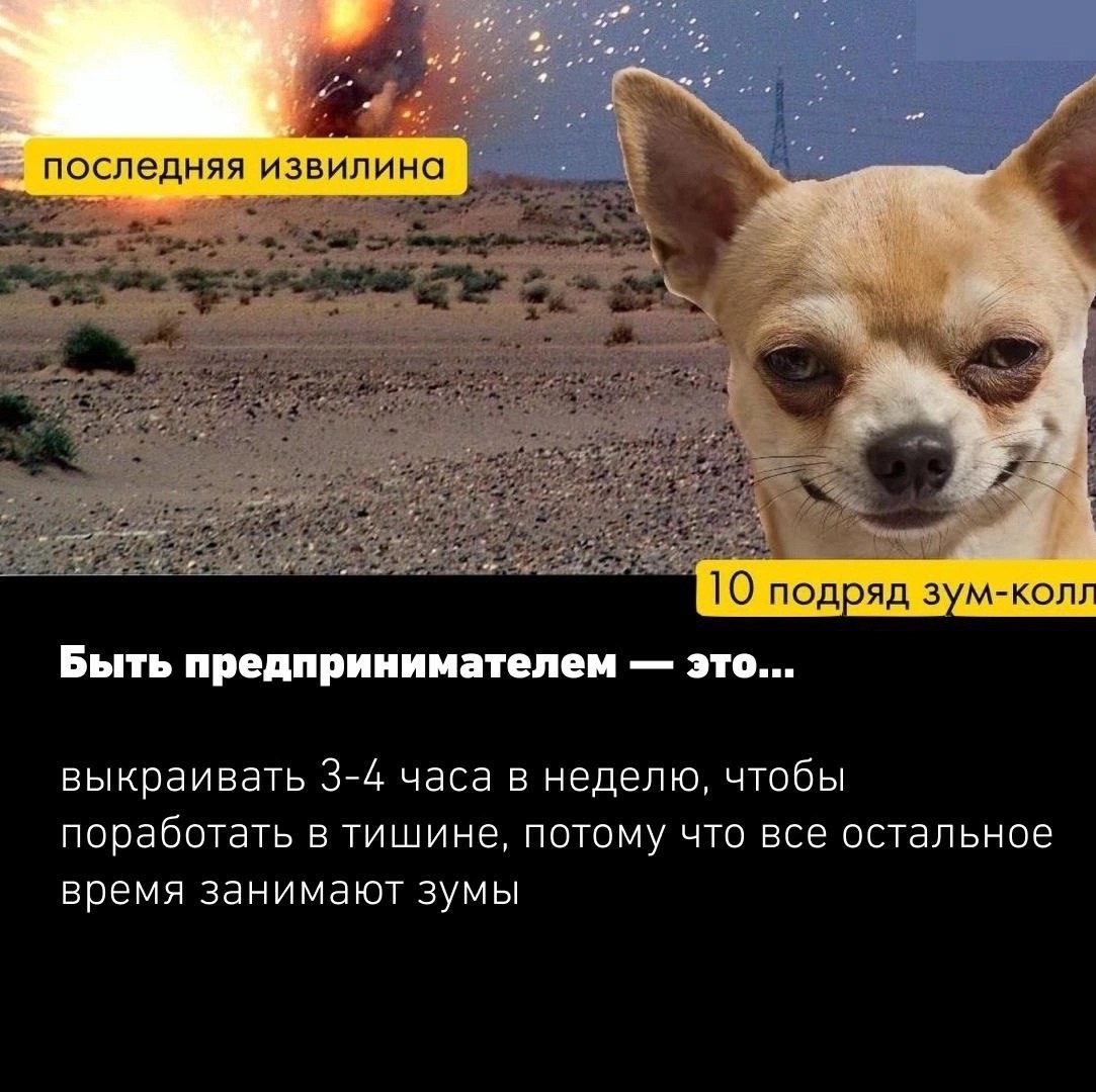 А что для вас значит быть предпринимателем?
Пишите в комментариях 👇🏻
#Бизнес | Сетка — социальная сеть от hh.ru