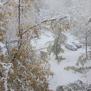 Лариса Чупалова
