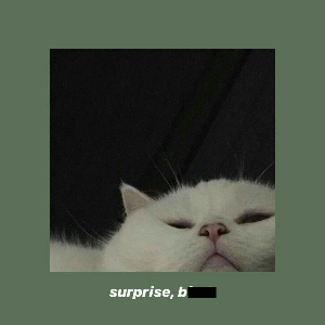 Вика Королёва
