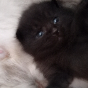 Кристина Хз