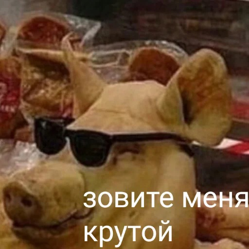 Когда ты свиная голова в очках и просишь называть себя крутым | Сетка — социальная сеть от hh.ru
