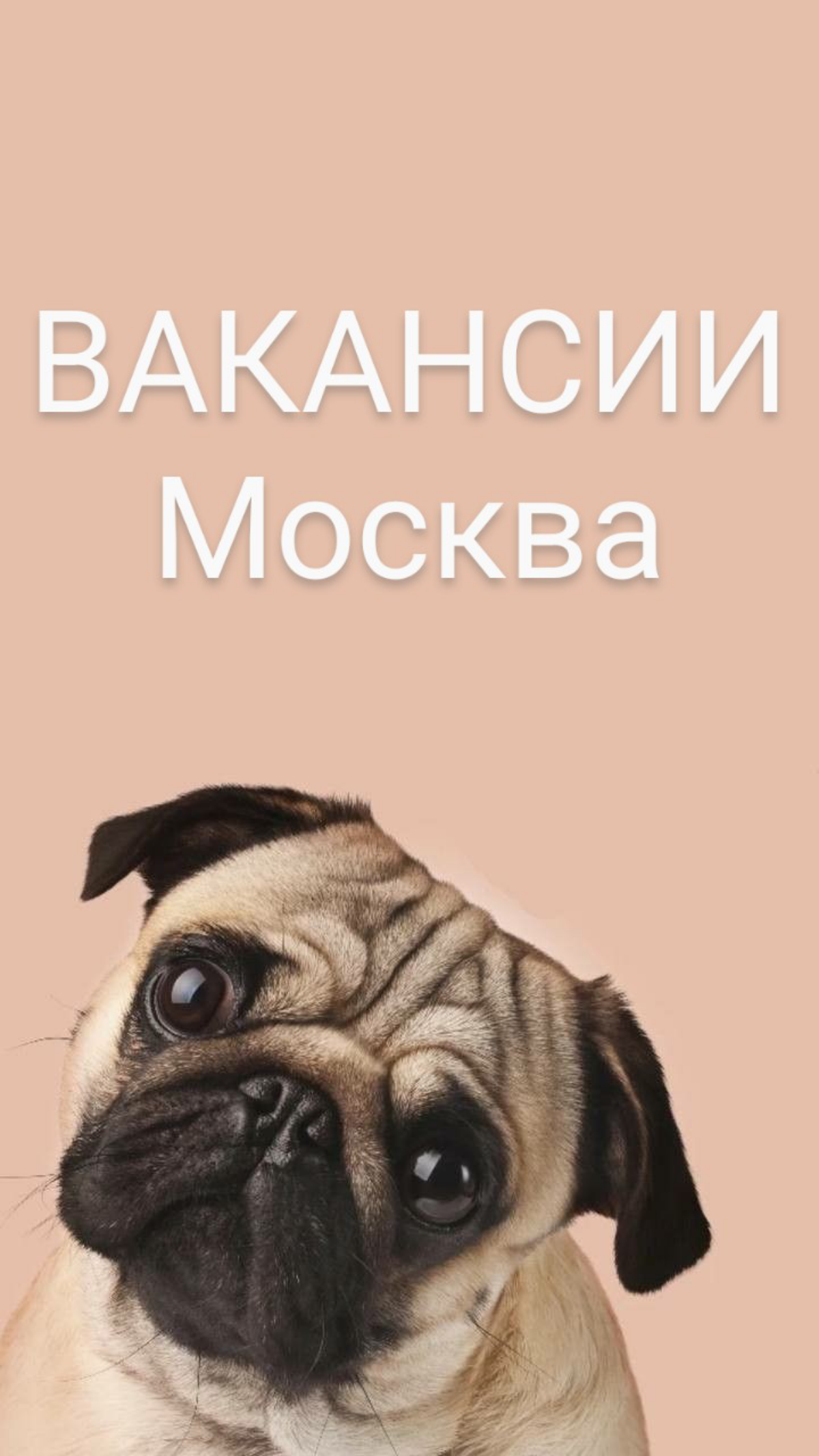 #ВАКАНСИИ  ДНЯ:
-Директор по оценке и развитию нефтегазовых активов, Москва, от 1 млн руб
-Коммерческий директор Холдинга «АлфиГрупп», Москва, от 800 т.р | Сетка — социальная сеть от hh.ru