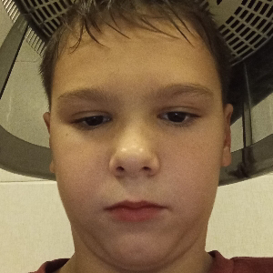 Родион Гожин