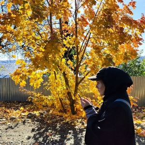Наталья Альхименко | Сетка — социальная сеть от hh.ru