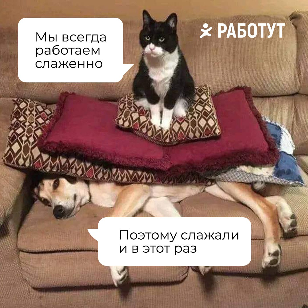 Командный дух — одна из самых важных вещей на работе 😄 | Сетка — социальная сеть от hh.ru