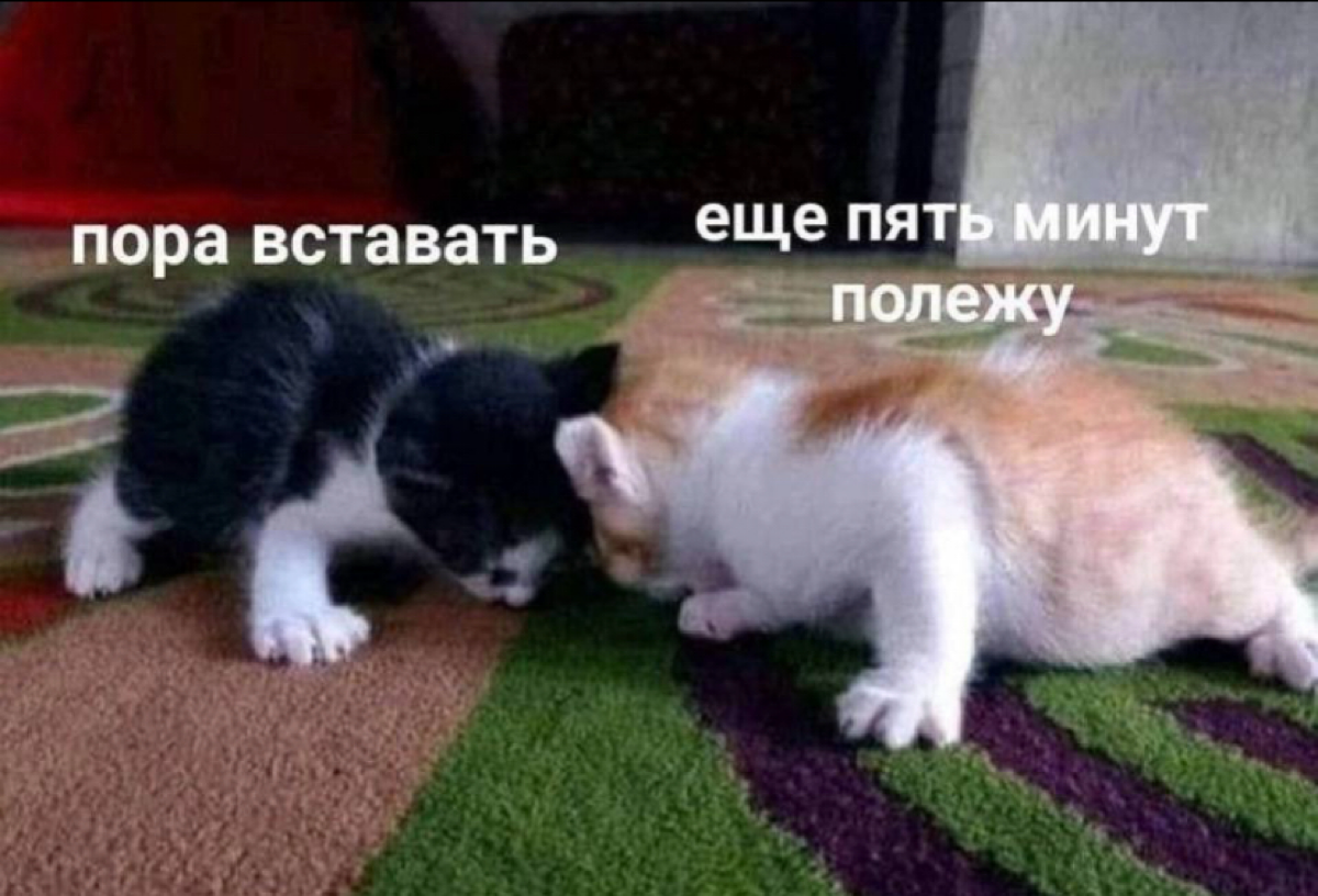 Кто легко встает по утрам? Поделитесь советом | Сетка — социальная сеть от hh.ru