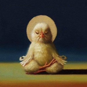 Lisa Volk | Сетка — социальная сеть от hh.ru