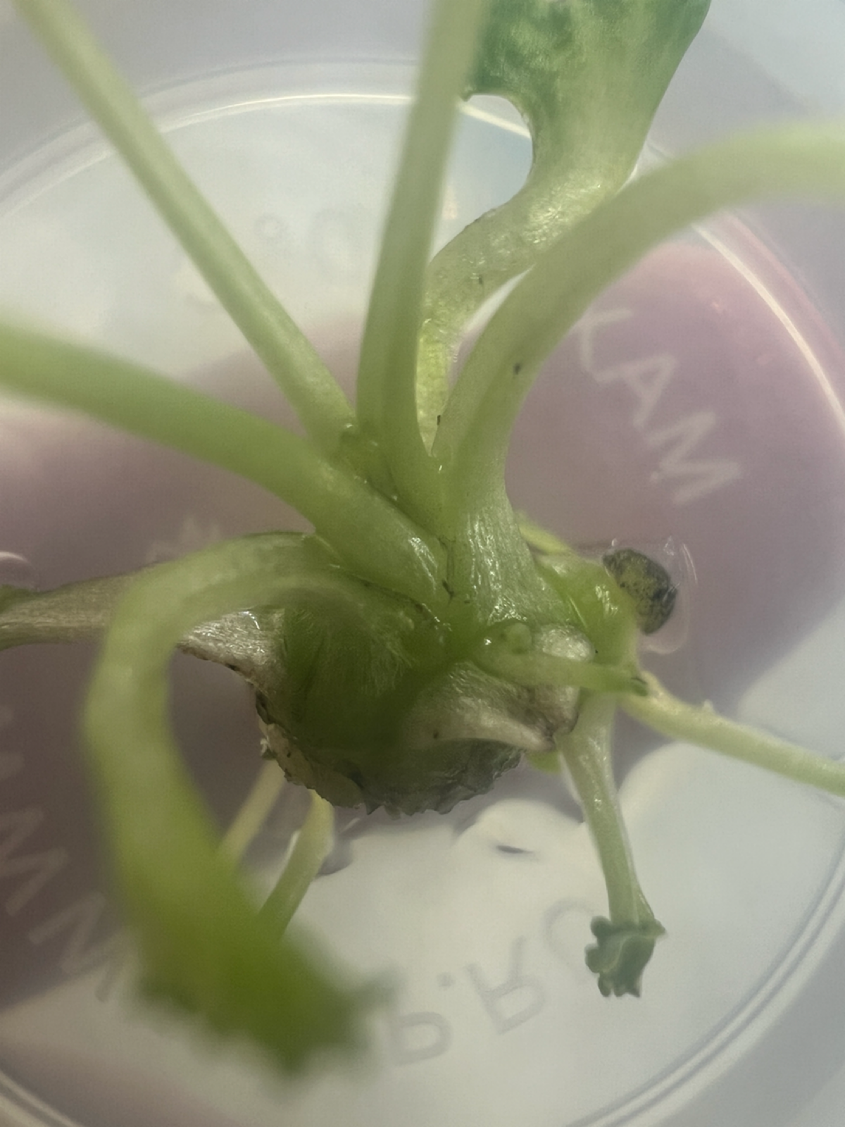 Прогресс | Сетка — социальная сеть от hh.ru