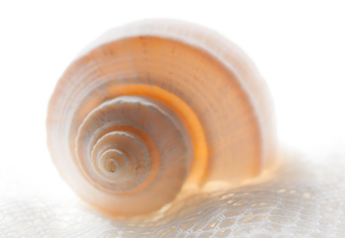 «Земля не является живым организмом» | Сетка — социальная сеть от hh.ru