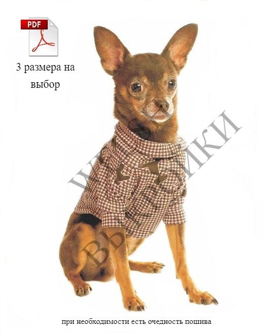 🐾 Выкройка домашней рубашки для ЧИХУАХУА 🐶
Характеристики:
Вырез горловины: округлый, воротник отложной-стойка 👕
Припуски на швы: 0,7 см ✂
Размеры:
Размер S
Длина спины: 21-25 см 📏
Обхват груди: 28-34... | Сетка — социальная сеть от hh.ru