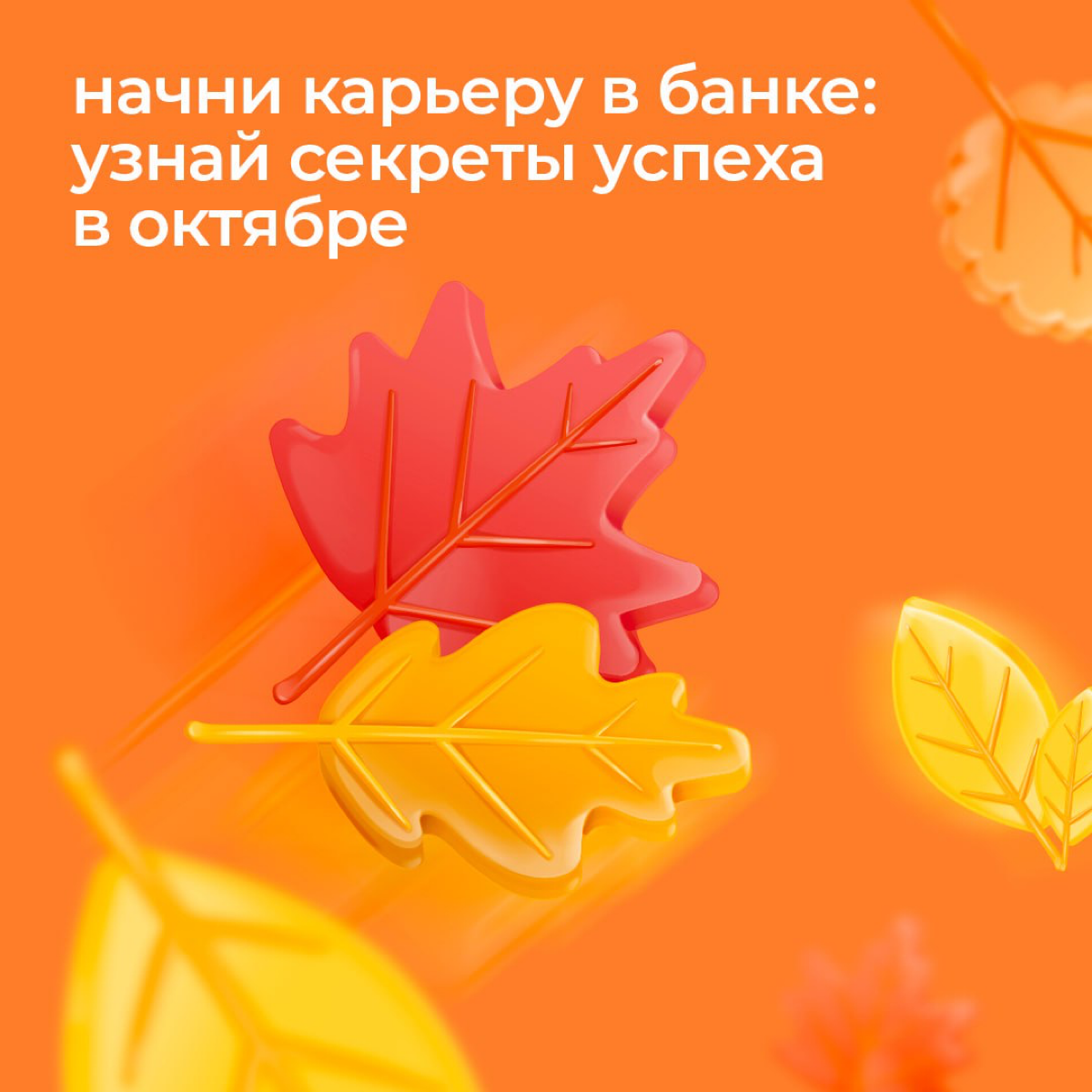 🍂 Не знаешь, как разбавить последние октябрьские дни? | Сетка — социальная сеть от hh.ru
