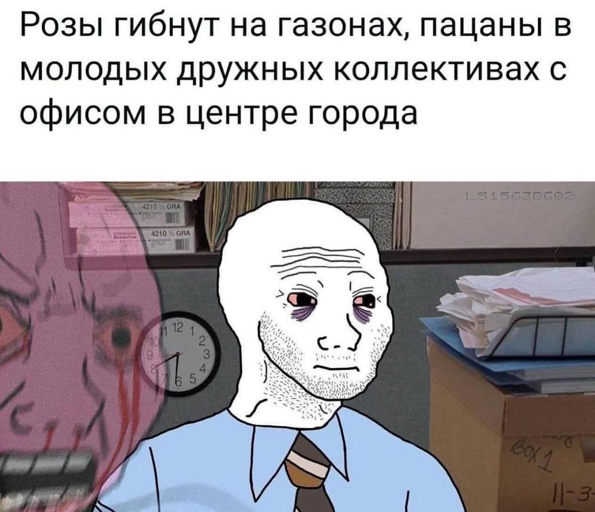 ➡️ отправь коллеге мем в телеге | Сетка — социальная сеть от hh.ru