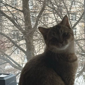 Дарья Курсанова | Сетка — социальная сеть от hh.ru