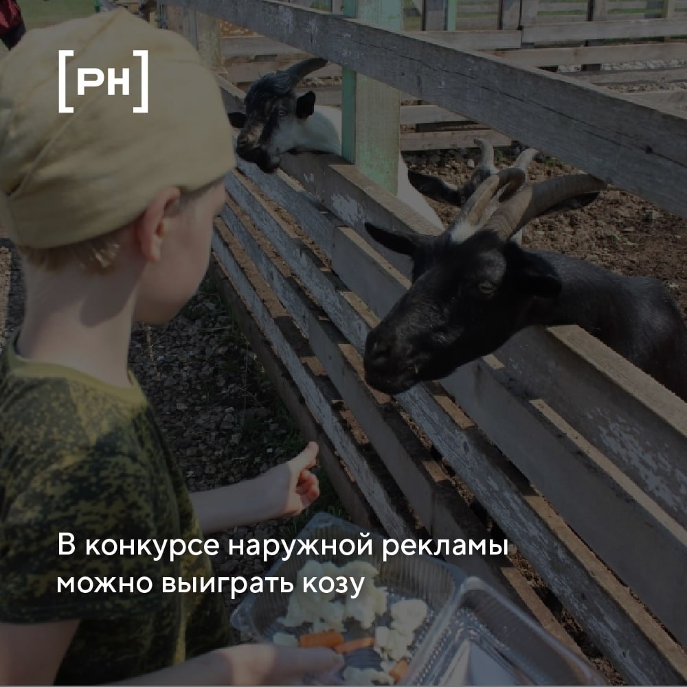 Россельхозбанк и Фестиваль креативных индустрий G8 объявили конкурс креативных идей для представителей творческих профессий - «Агрокультурно» | Сетка — социальная сеть от hh.ru
