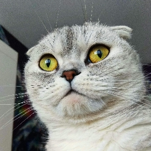 Валерия Зенькова