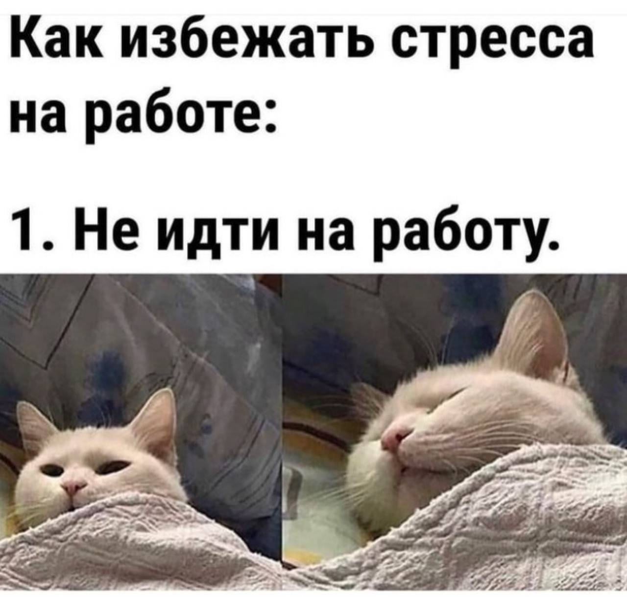 Собрали все посты недели в один:
➡️ корпоративная культура как критерий выбора работы
➡️ “сильные” глаголы для резюме
➡️ European Labour Market Barometer - что это?
➡️ топ-20 стоп-слов в резюме
➡️ нов... | Сетка — социальная сеть от hh.ru